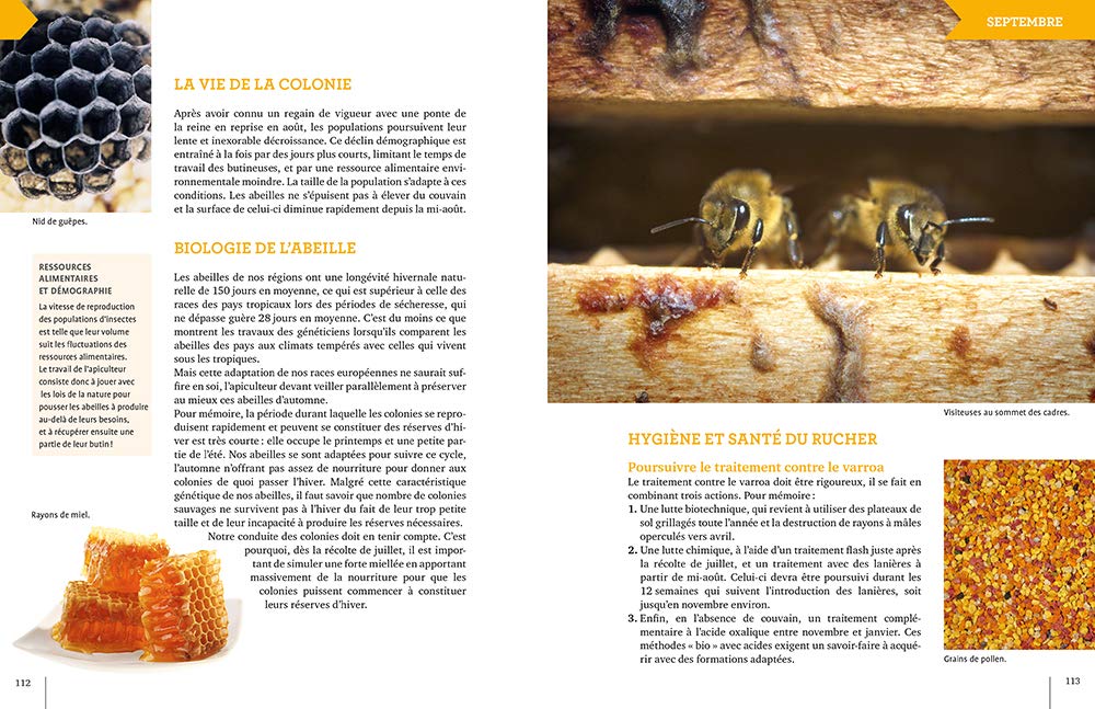 L'apiculture mois par mois Nouvelle édition