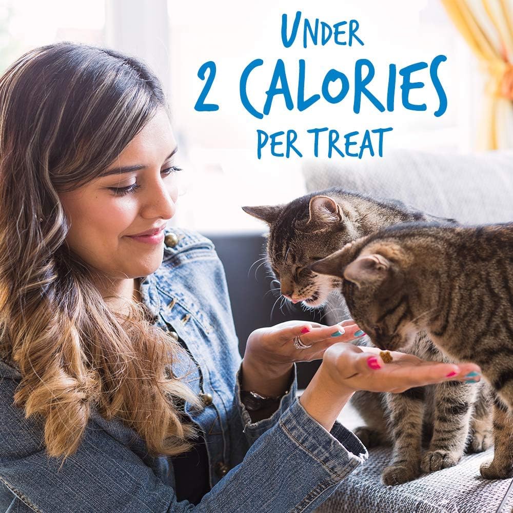 Fruitables Cat Treats | Crunchy Treats For Cats | Healthy Low Calorie Treats Packed with Protein | Free of Wheat, Corn and Soy | Made with Real Chicken with Blueberry | 2.5 Ounces : Pet Supplies
