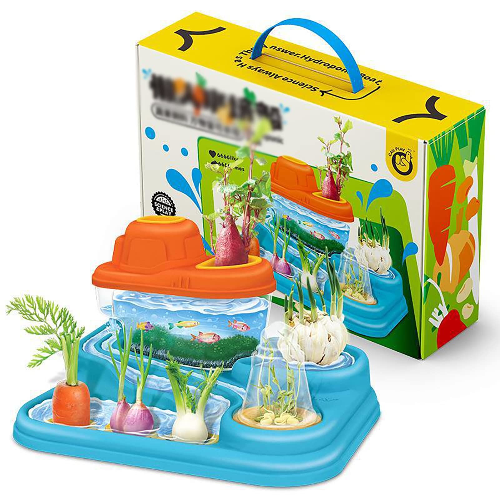 水耕栽培セット　子供の食育に Amazon｜子供用水耕ボート、水耕生態サイクル、野菜の栽培と魚の飼育