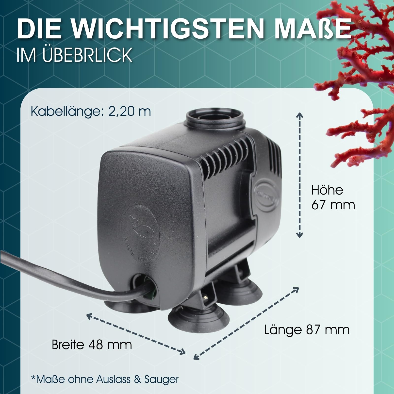 TUNZE Rückförderpumpe Silence I Energieeffiziente Aquarienpumpe für Meer- und Süßwasseraquarien I leise & kraftvolle Aquarium Pumpe mit geringem Energieverbrauch I Hochwertige Universalpumpe