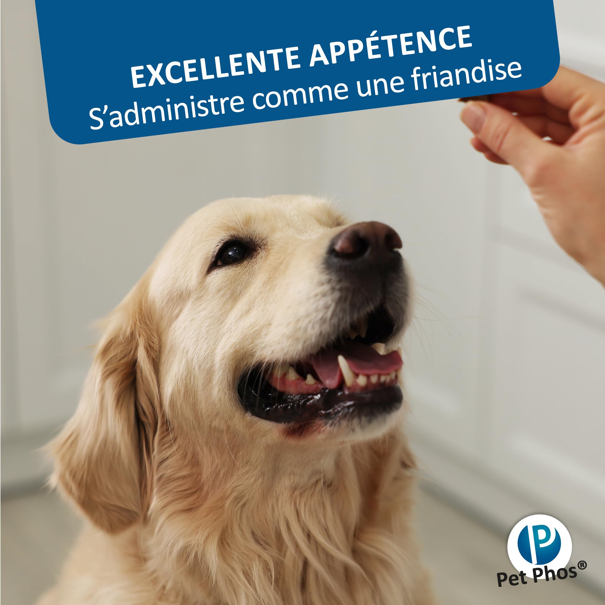 Pet PHOS Croissance CA/P = 2 Grand Chien pour Chiots en Croissance et Femelles gestantes ou allaitantes nourris avec Une Ration ménagère ou Industrielle