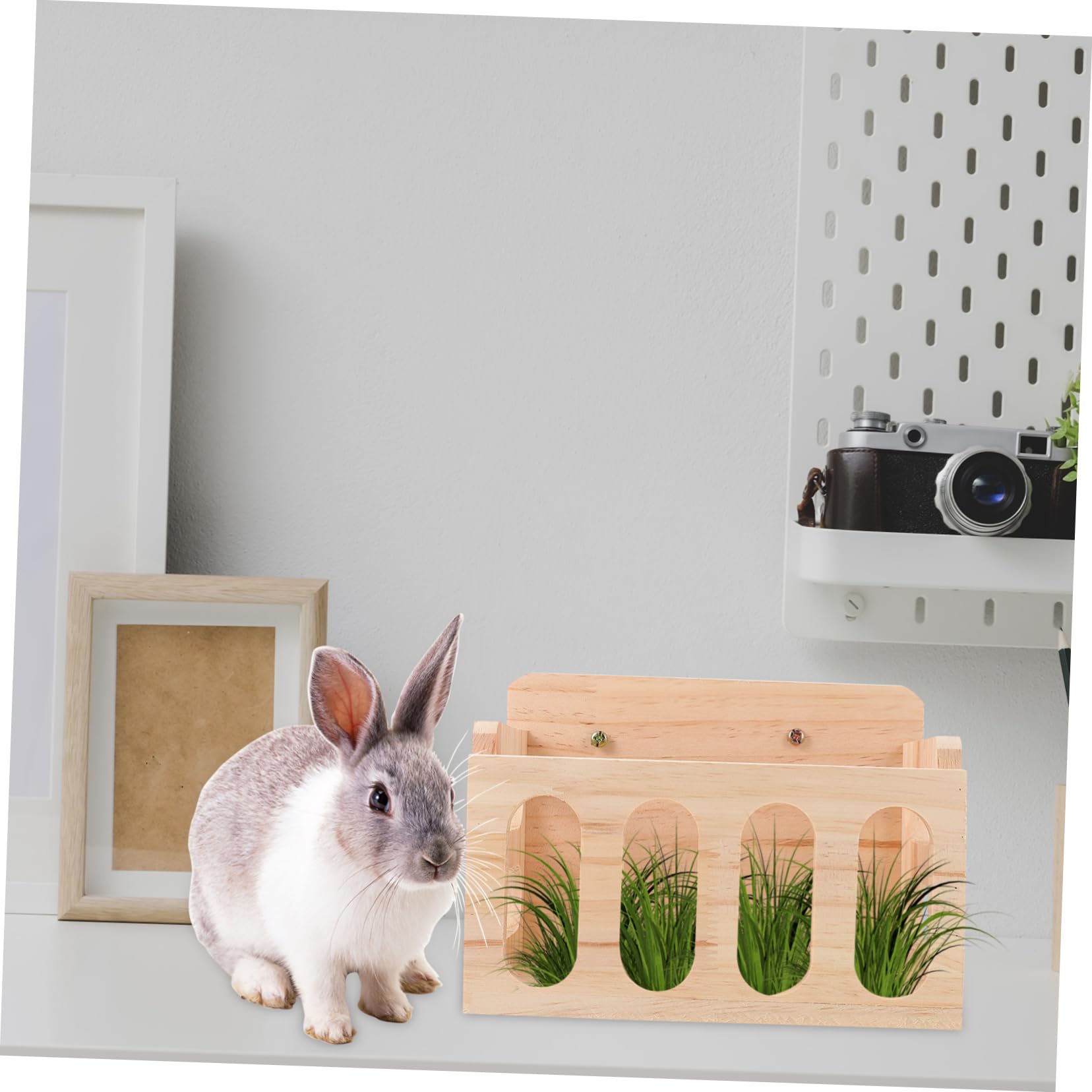 Holz Futtertrog für Meerschweinchen und Chinchillas für Käfig