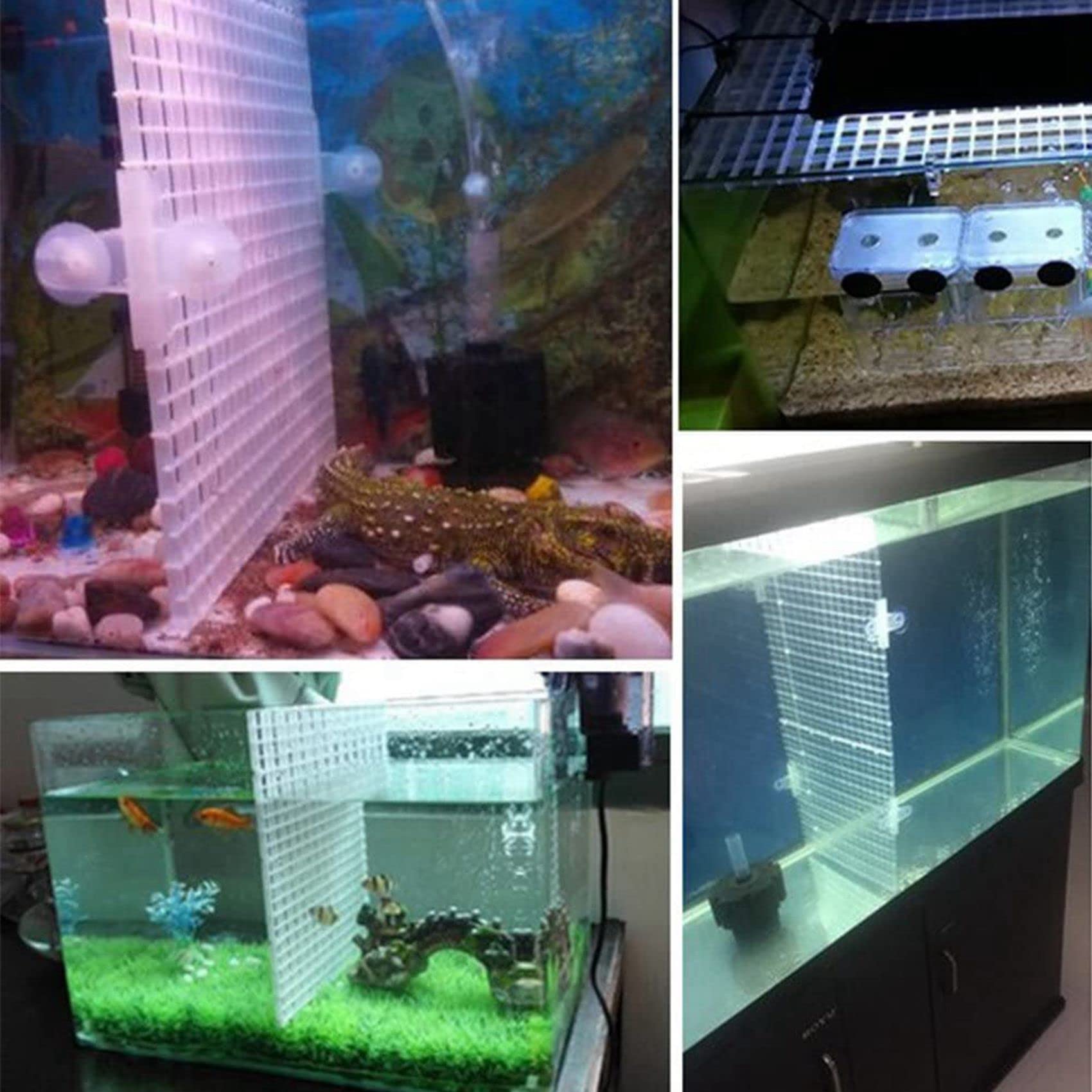 Divisori Per Acquario Con Ventose 5 Pezzi - Per Separare Pesci O Riproduzione - Foto 6
