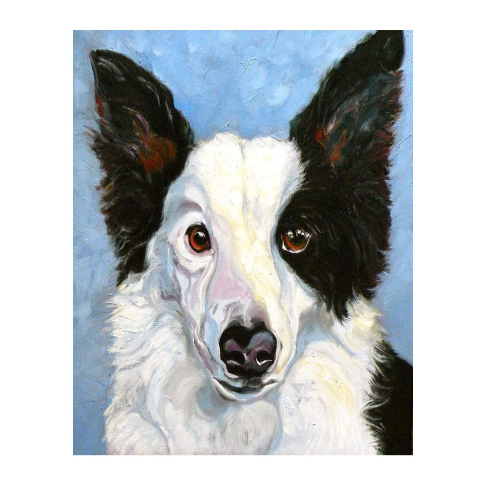 Doe-het-zelf schilderen op nummer voor volwassenen, border collie, hond
