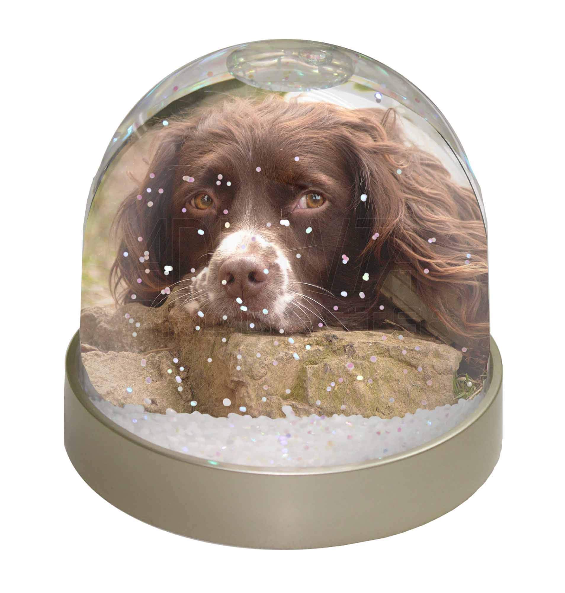 Springer Spaniel Dog Photo Snow Globe Waterball - Advanta Group®