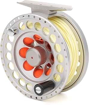 71YE5p9epJL._AC_UF350,