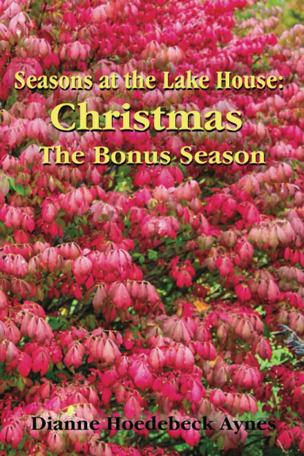 Seasons at the Lake House: Christmas: The Bonus Season