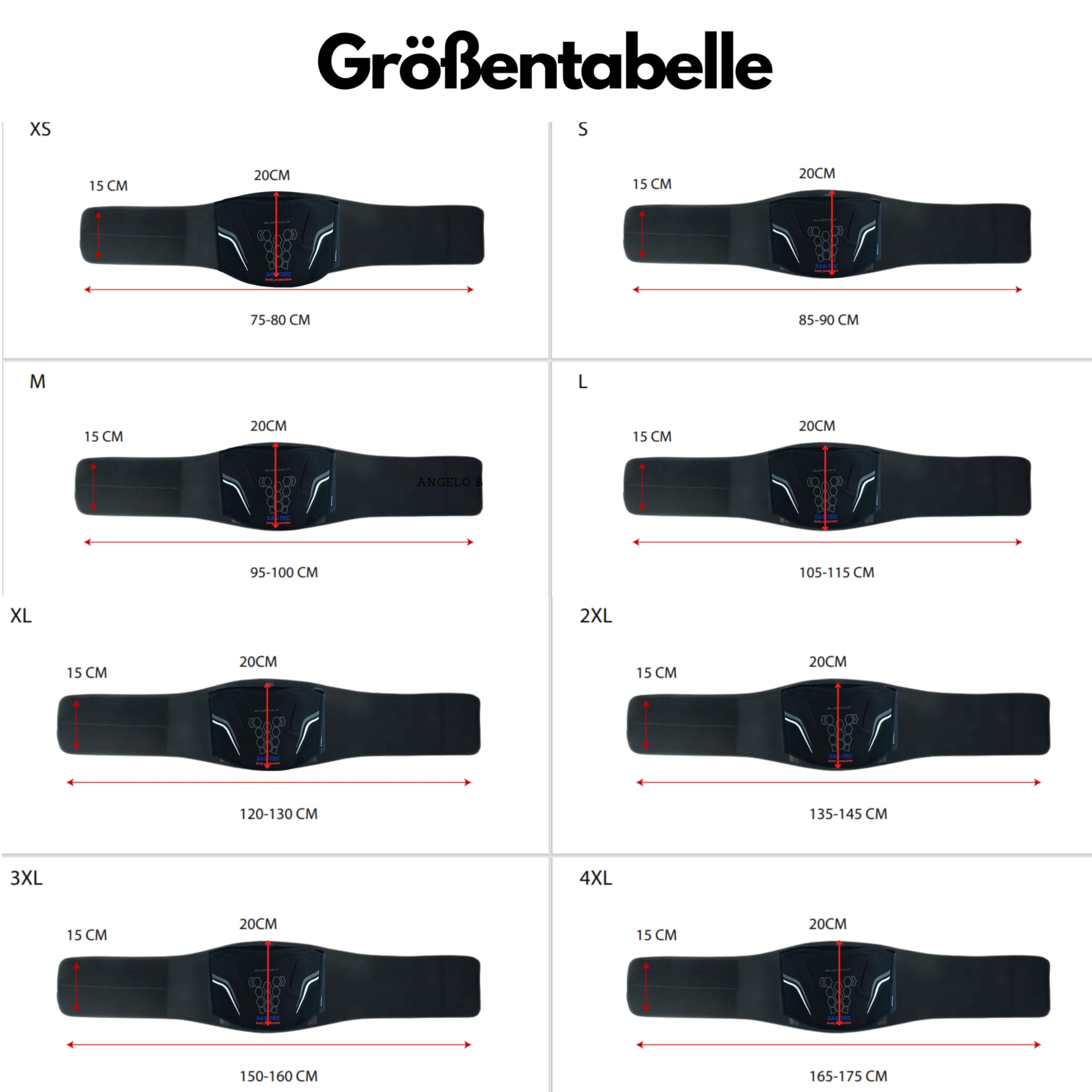 BLACKWILD - Cintura renale per moto con protezione per coccige SAS-TEC SP-T | Cintura renale per moto uomo e donna | Cintura renale per tutte le attività all'aperto