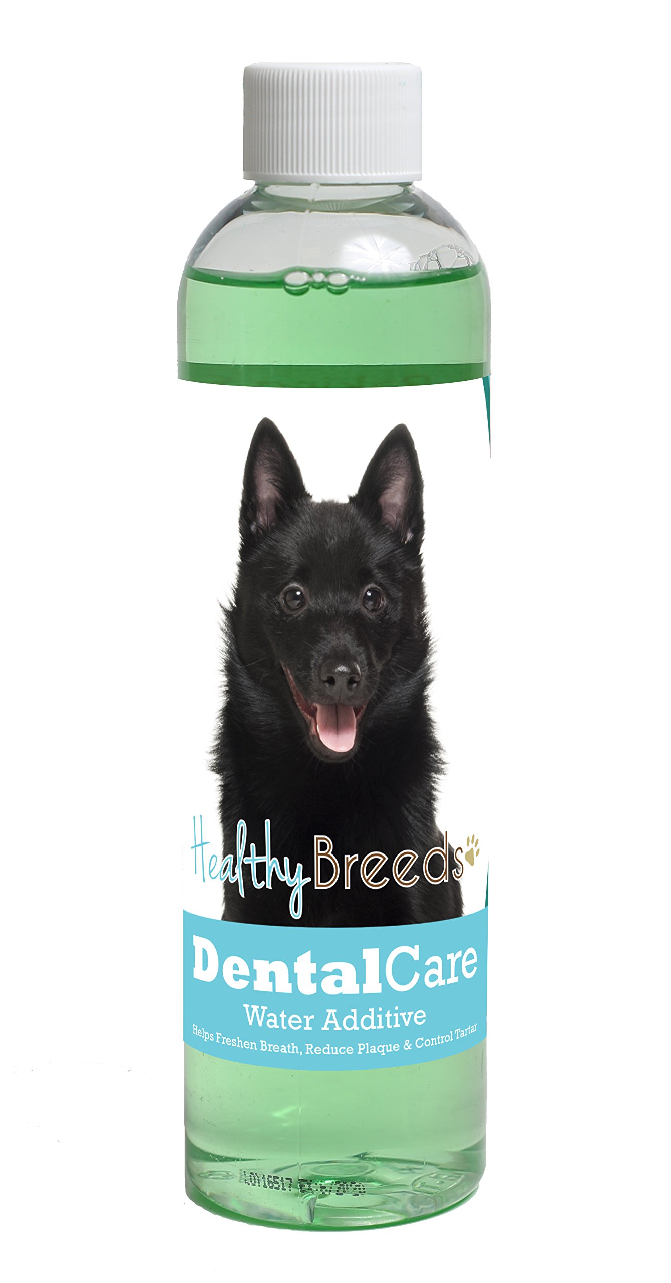 Healthy Breeds Dog Dental Care Water Additive for Schipperke - Helps Freshen Breath, Reduce Plaque &amp; Control Tartar - Mint Flavor - 8 oz
