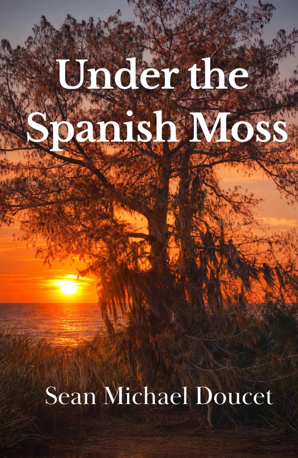 Under the Spanish Moss