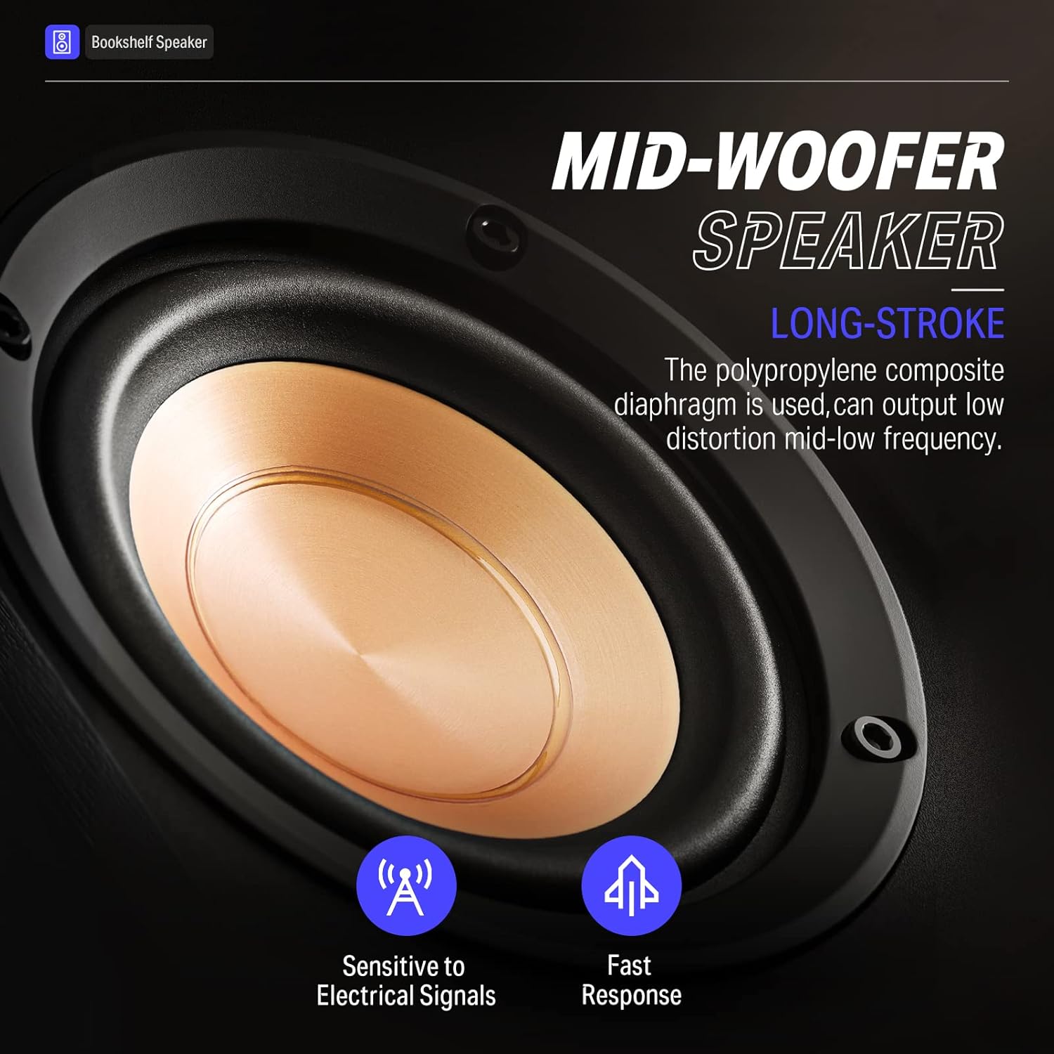 Buy Donner Passive Bookshelf Speakers Pair, 2Way Stereo Speakers for