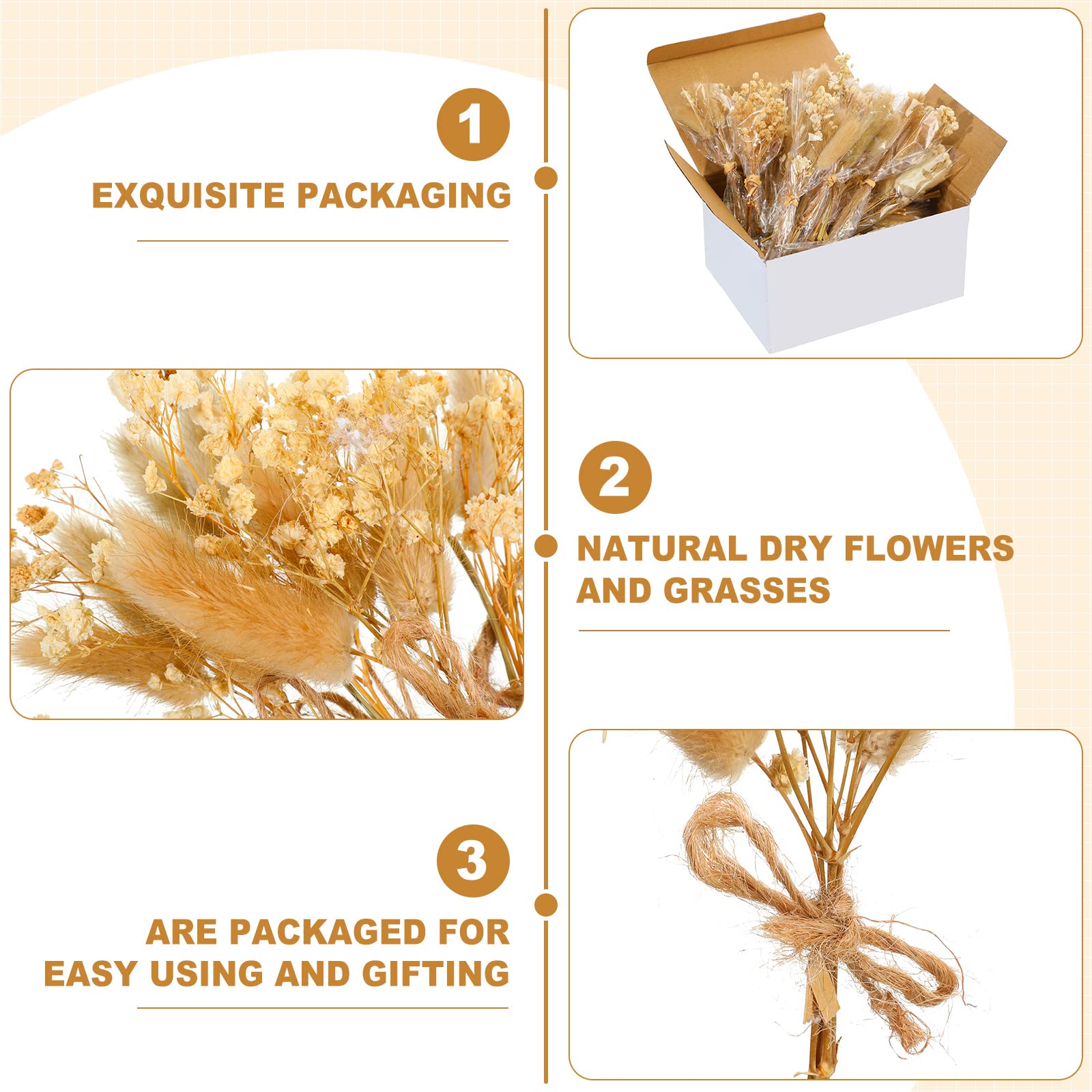 Mini Dried Baby's Breath Flowers Gypsophila Bouquets Natural Branches Dog Tail Bunny Rabbit Tail Dried Bulk Flowers Plants for Vase Home Decoration Photo Props Parties Weddings DIY Craft (100)