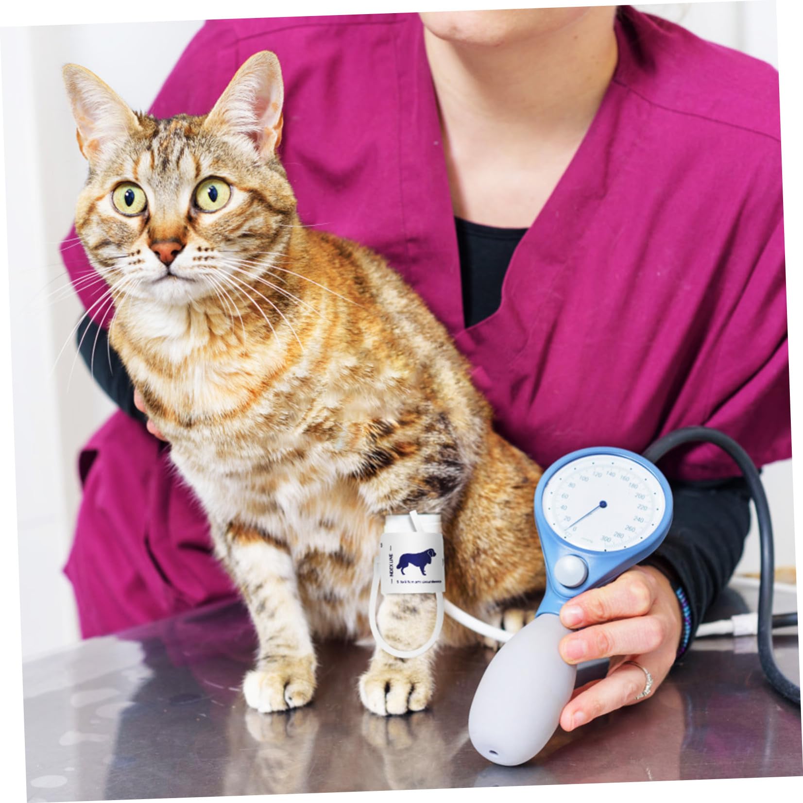 Bracciale per Misuratore di Pressione Non Tessuto, Adatto per Animali e Gatti Circonferenza Braccio 5-9,5cm, per Uso Veterinario