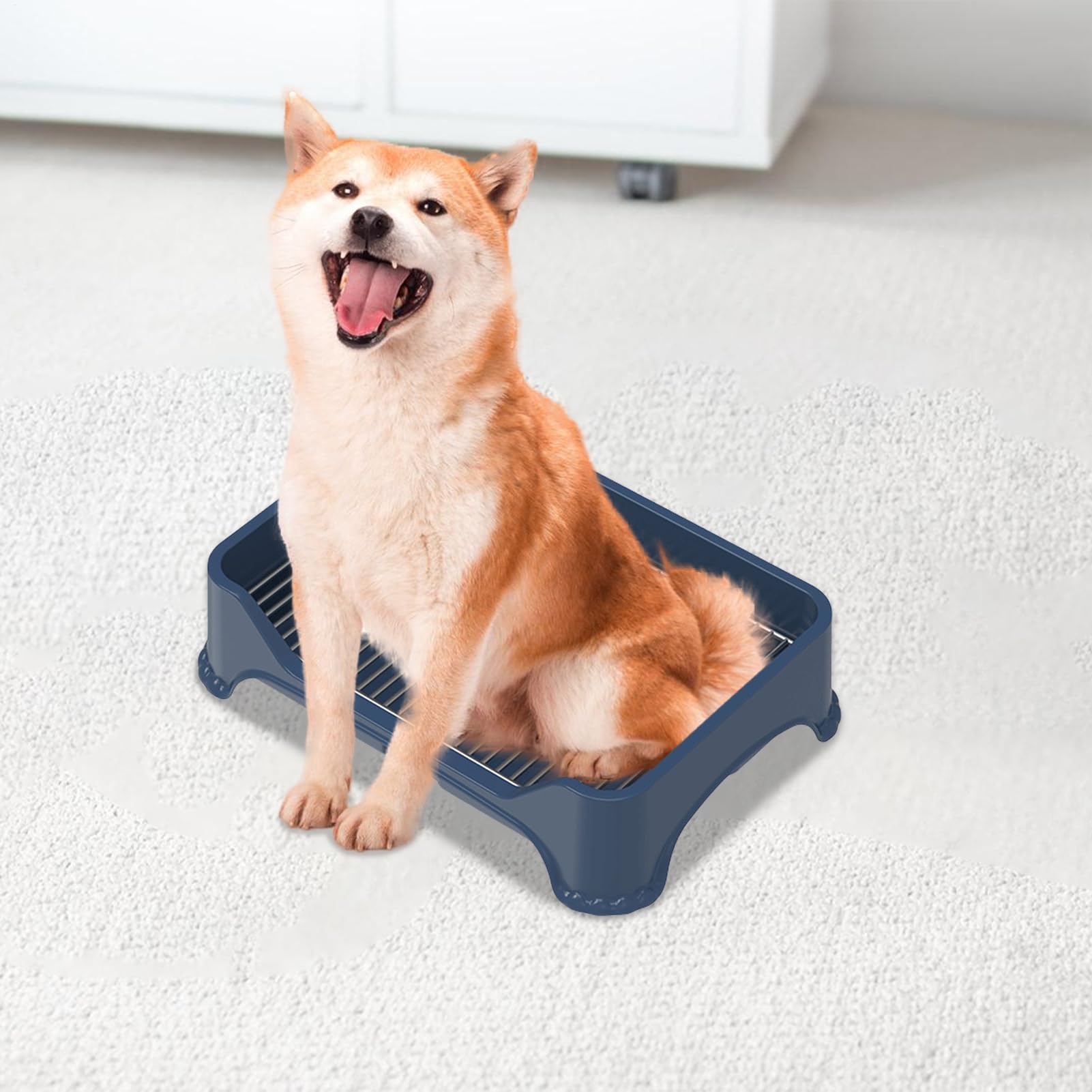 Servizi igienici per cani - Servizi igienici per cuccioli in acciaio inossidabile | Vassoio per vaso portatile per interni per cani, WC per cani da toeletta, tappetino antipasto, vassoio P