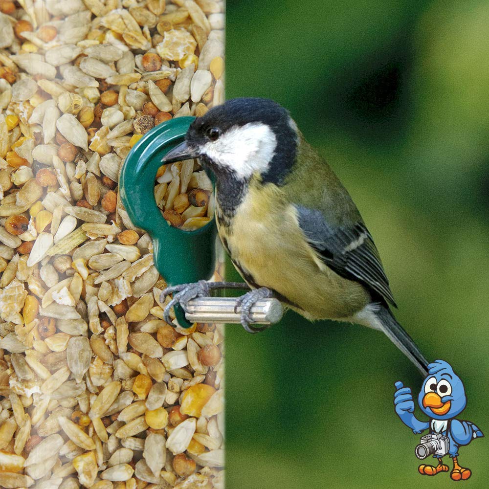 Mezcla de Semillas No Mess BusyBeaks - Alimento para Aves Silvestres jardín.