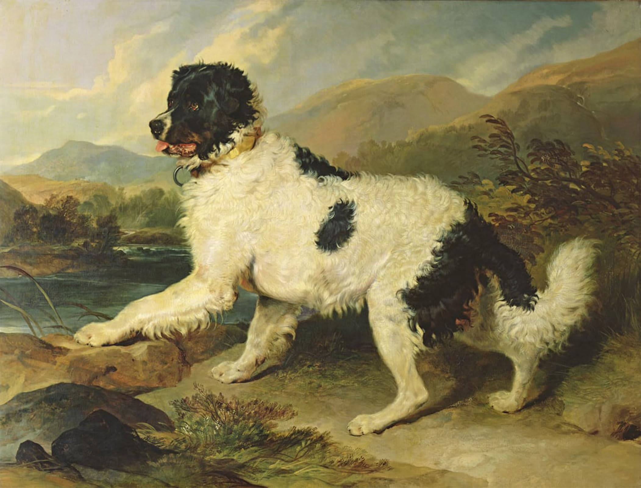 SERENDIPITP Retro Picture Poster Wall Art Pictures Painting Newfoundland Dog Called Lion by Edwin Landseer Wall Art Canvas Print for Wall Decor 60x90cm