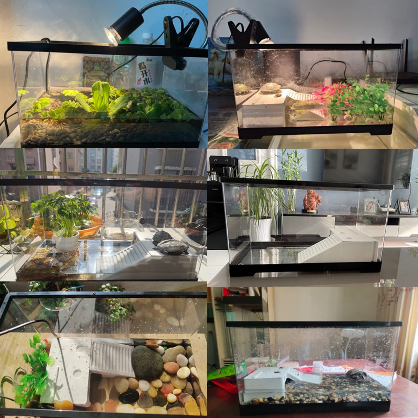 Tanque de Tortuga de plástico para Acuario, Tortugas de Peces, hábitat Transparente para Reptiles con Accesorios, fácil de Limpiar, para cangrejos ermitaños, (60 x 30 x 29 cm)