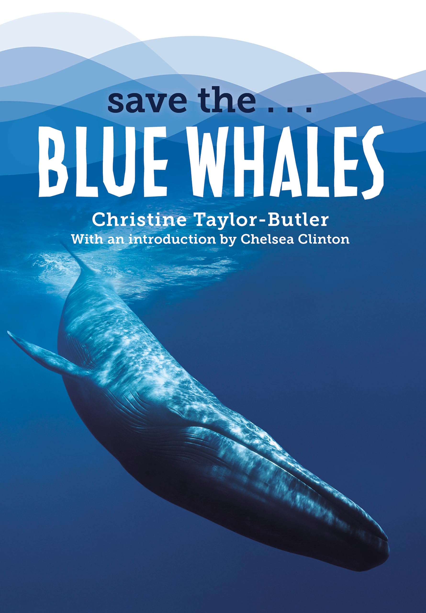 Save TheBlue Whales | Amazon.com.br