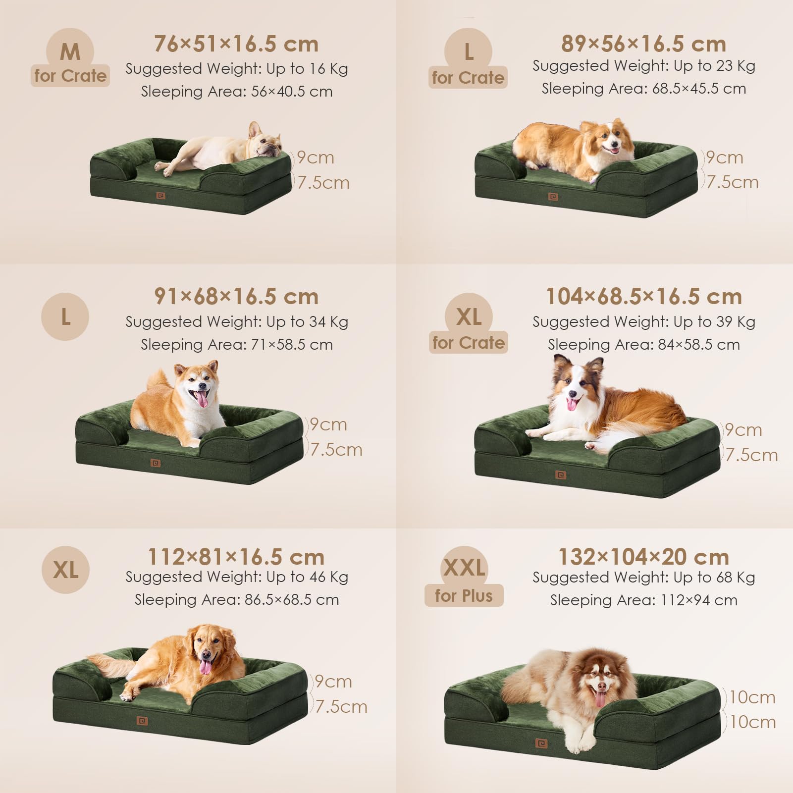 EHEYCIGA Cuccia Cane Interno Taglia Media, Cuscino Cane Impermeabile Sfoderabile e Lavabile, Letto per Cani con tre Lati Rialzati Ortopedico, Verde Scuro, 89x56x16cm