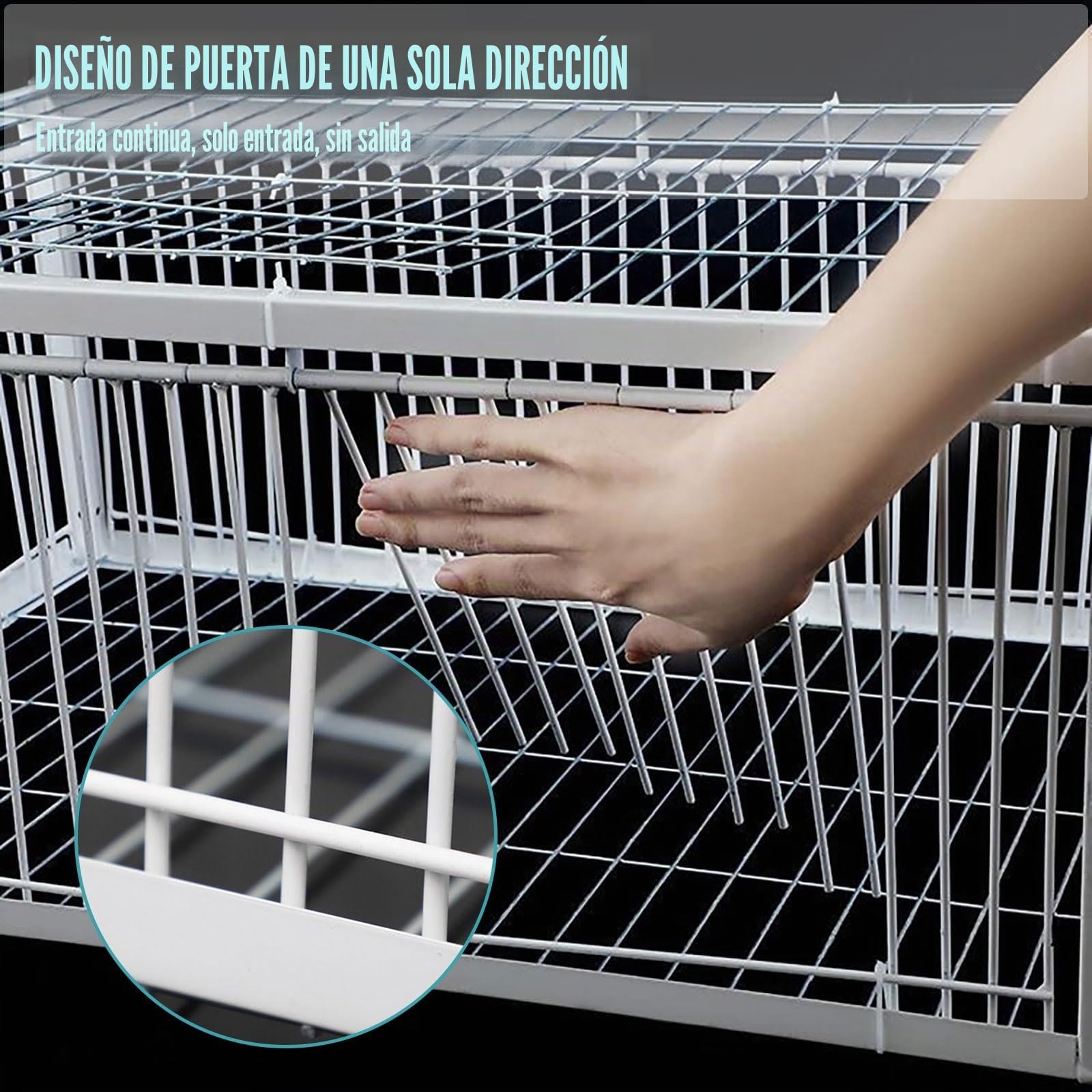 Trampa Para Pájaros Con Entrada Unidireccional Jaula Trampa Para Palomas Fácil De Montar Con Diseño A Prueba De Fugas Portátil 4 Importada Recolección Automática De Palomas Adecuada(60x40x26CM)