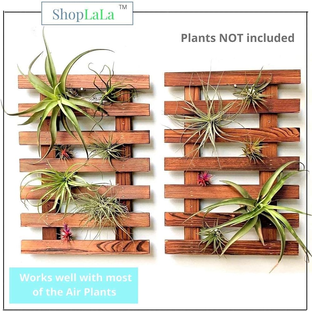 ShopLaLa Bundle - 4 Inch Black Self Watering Pots x 10 Pack + 2 Pack Wooden Planter Holders, Indoor Vertical Wall Garden, Living Plant Wall Herb Garden Vertical System, Wall Mount Hydroponic Wall Pots