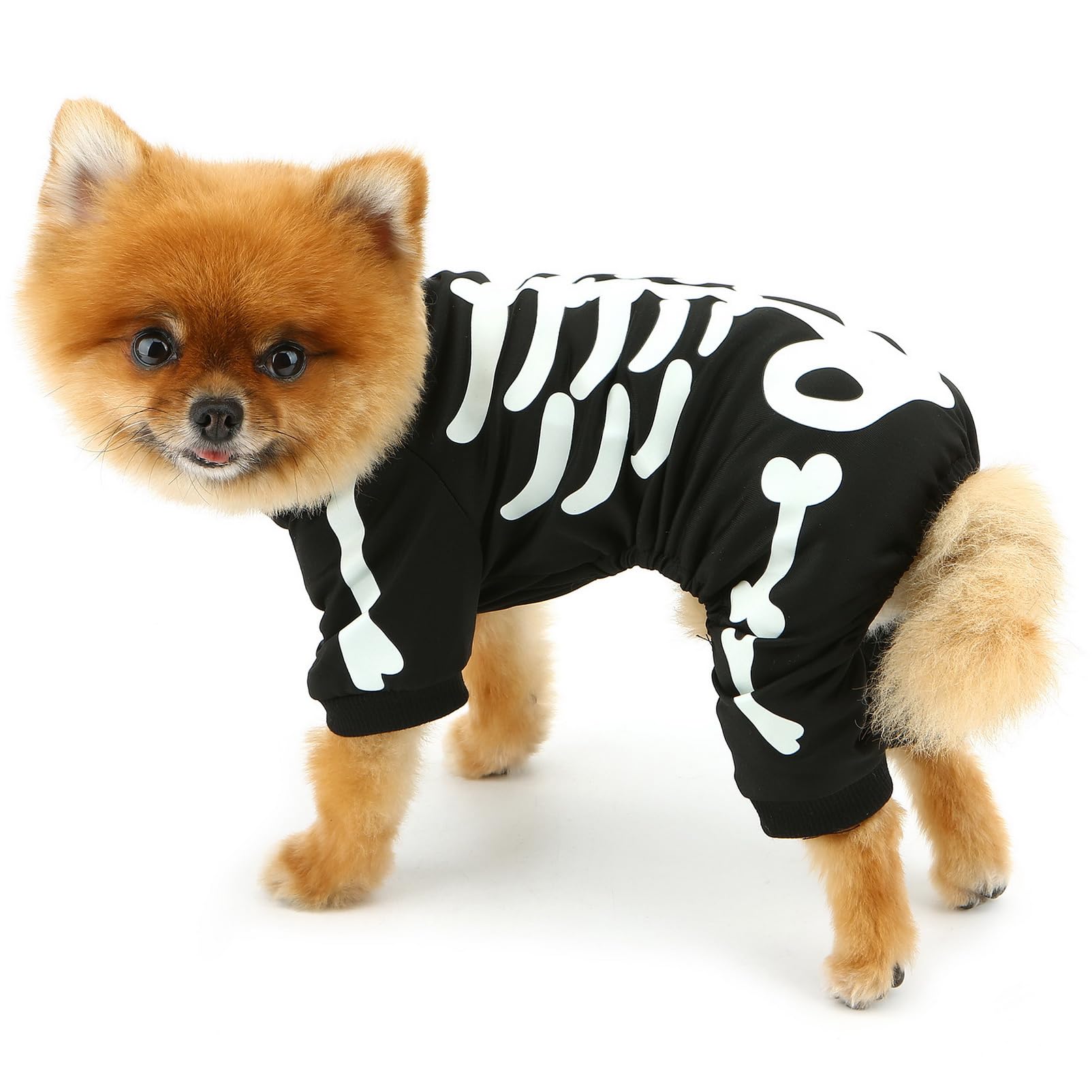 FIEEFX - Disfraz De Halloween Para Perro Y Gato, Diseño De Araña, Accesorio De Cosplay Y Decoración Para Mascotas (Talla M