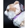 Product Photo 7