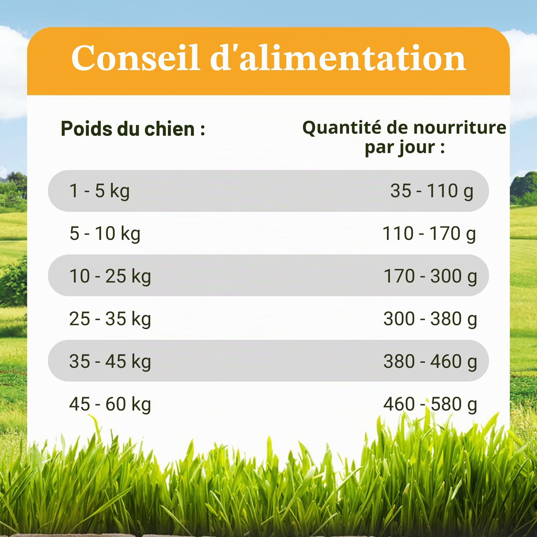 Bellfor Forstbach-Schmaus Nourriture Sèche pour Chien. Croquettes Pressée à Froid sans Céréales avec Saumon et Truite, Riche en Vitamines Naturelles, Minéraux et Antioxydants, 10 kg