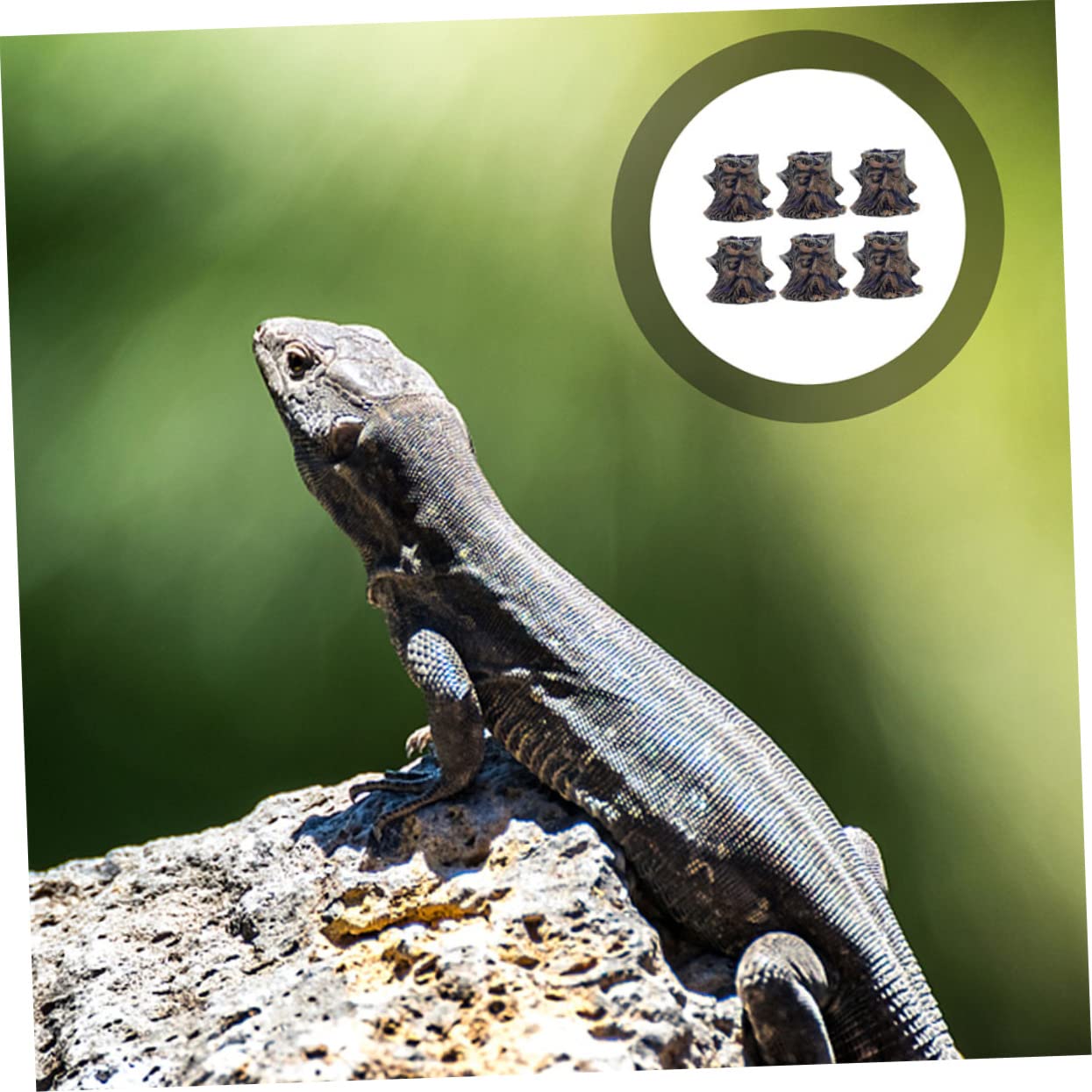 minkissy 12 piezas de baño de pájaros para mascotas, plato de gusano de reptiles, comederos de agua de tortuga, recipiente de alimentos para alimentos, cuenco de agua de serpiente, alimentador de