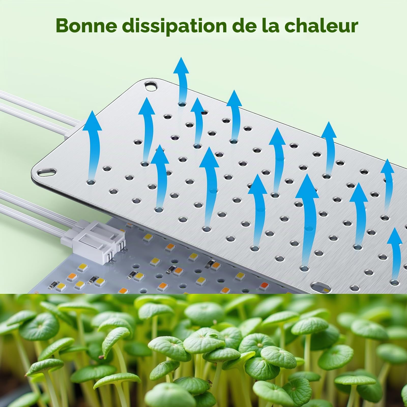 5PCS Lampes de Croissance à Spectre Complet pour Plantes d’Intérieur, Panneaux LED 60W avec Daisy-Chain, Minuterie Automatique 4/8/12H, 960 LEDs, Lumière Type Soleil pour la Culture en Intérieur