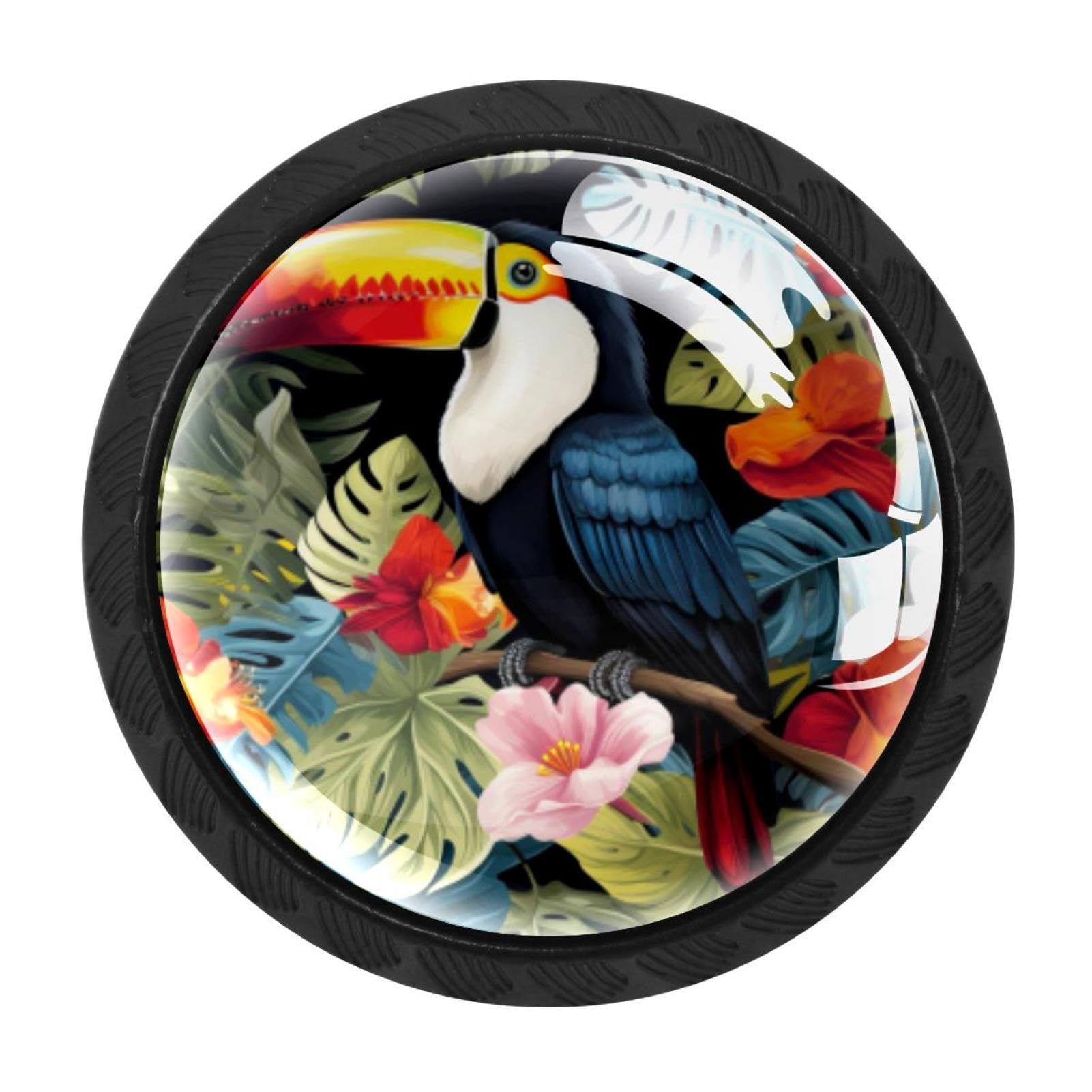 Chenzzzz Multicolored 03 4 Pack Round Cabinet Knobs For Kitchen Bathroom Closet Dresser Cabinets, Toucan