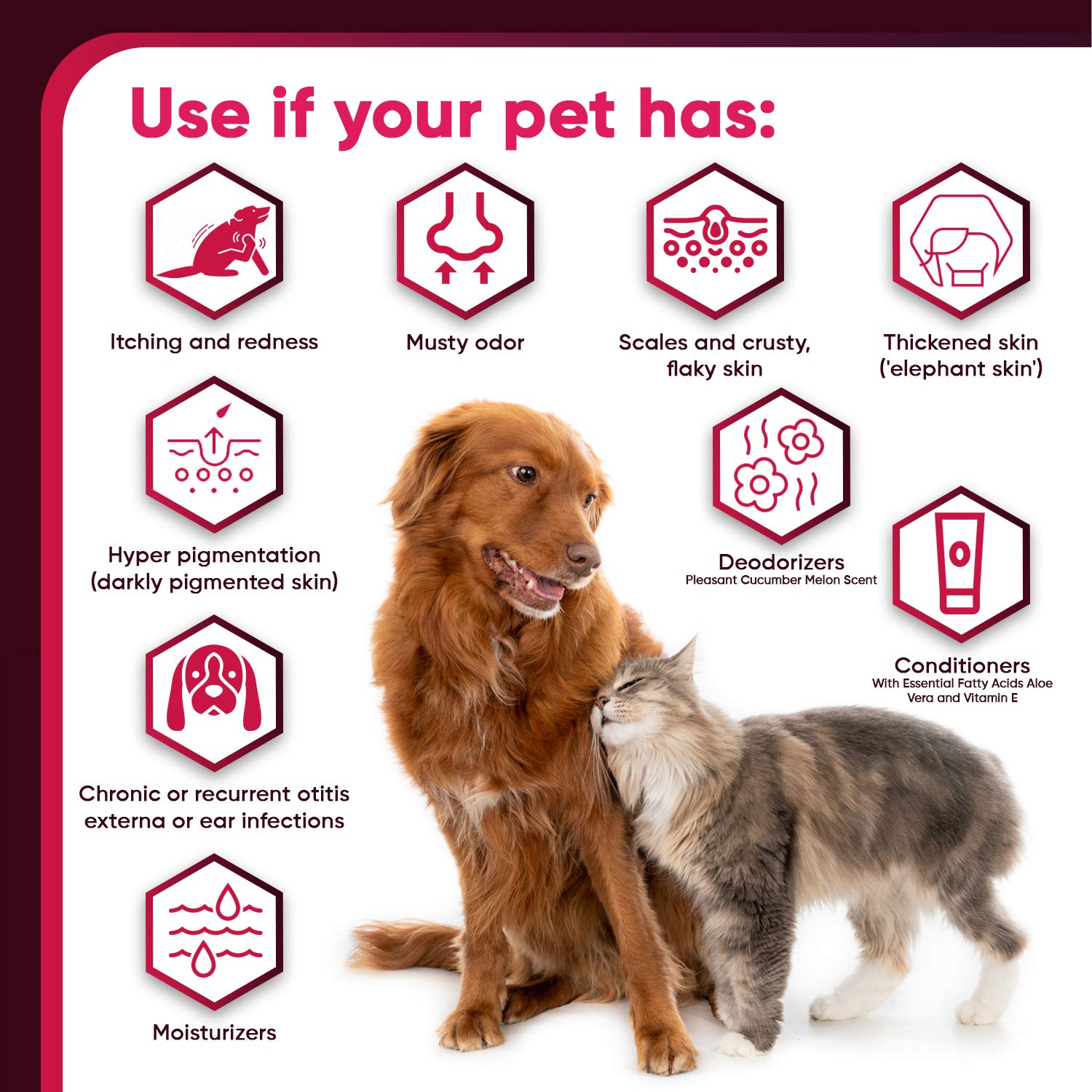 Truseb 1 Chlorhexidine Shampoo with Ketoconazole for Dogs, Cats and