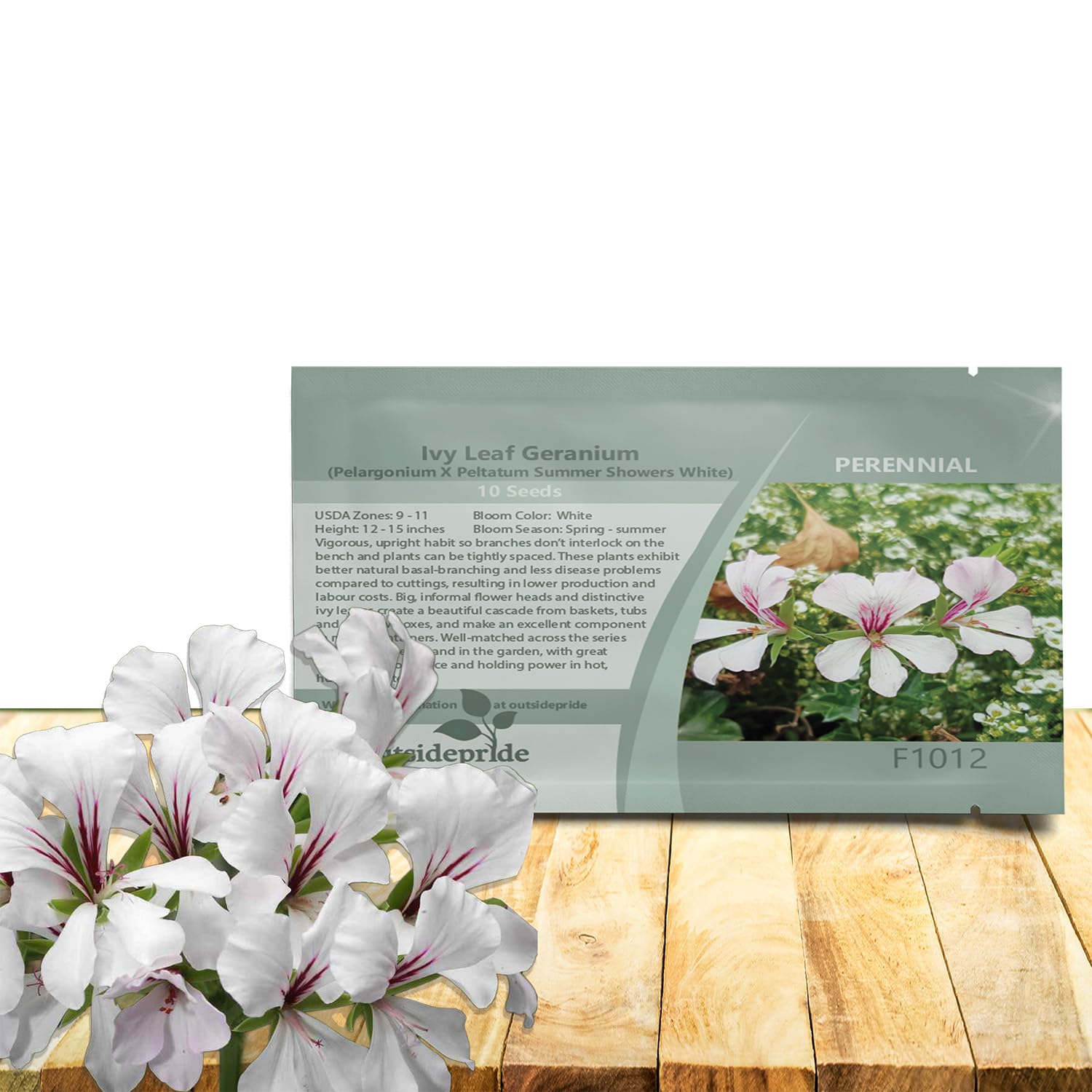 Amazon.com : Outsidepride White Ivy Leaf Geranium Seeds for Planting - 10  Pcs Perennial, Heat & Drought Tolerant Flower Seeds with Green Foliage &  Light Pink Blooms for Pots, Borders & Lush