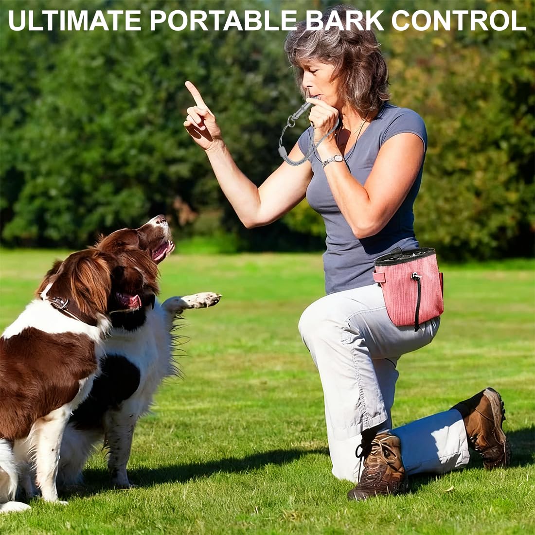 2 Pcs Sifflet pour Chien avec lanière, Sifflet pour Compagnie en Acier Inoxydable à fréquence réglable, Sifflet à ultrasons Professionnel pour l'entraînement et Le contrôle des aboiements