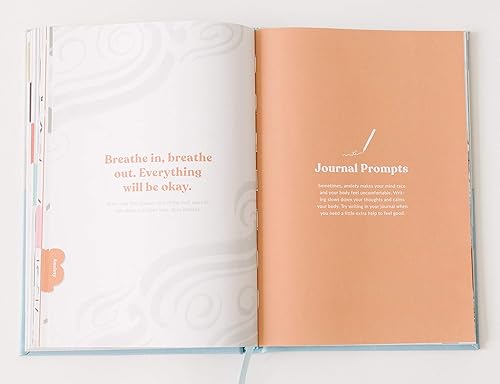 Vista 20 de Promptly Journals, My Big Feelings Journal: descubriendo y dominando las emociones (niebla/azul cielo, lino/cuero sintético) Diario