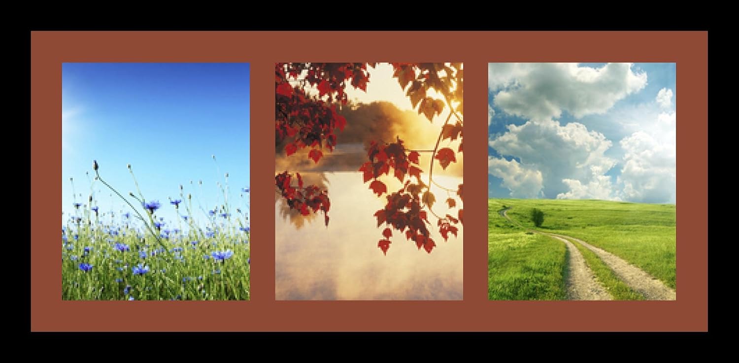ArtToFrames Collage Photo Frame Single Mat with 3-8x10 Openings with Satin Black Frame and Cognac mat.