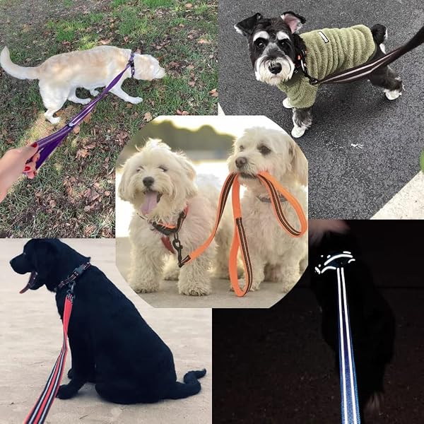 J&C Paradise 定番 犬用リード 日本正規店 犬リード 持ちやすい 訓練 ロング 3M反射材料 ナイロン製 通気性 おしゃれ 人気 痛くない メッシュ TRUELOVE (オレンジ, 1.1m M) - 5