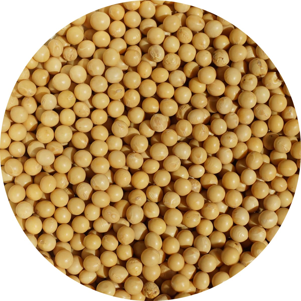 Amazon.co.jp: Hokkaido Soybean Soybean Soybean Daizu Small