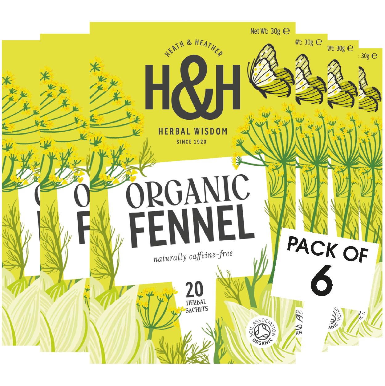Heath & Heather - Organic Fennel Tea • Aromatic Digestive Infusion • Naturally Caffeine-Free • Vegan • Wellness Brew with Aniseed Sweetness • Multipack 6 x 20 Boxes (120 Tea Bags)