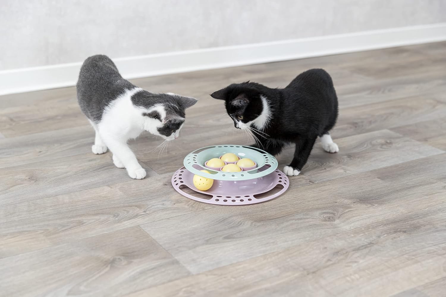 Trixie Junior Cat Activity Circle Track, Chase Track, Cat Toy, Interactive Toy