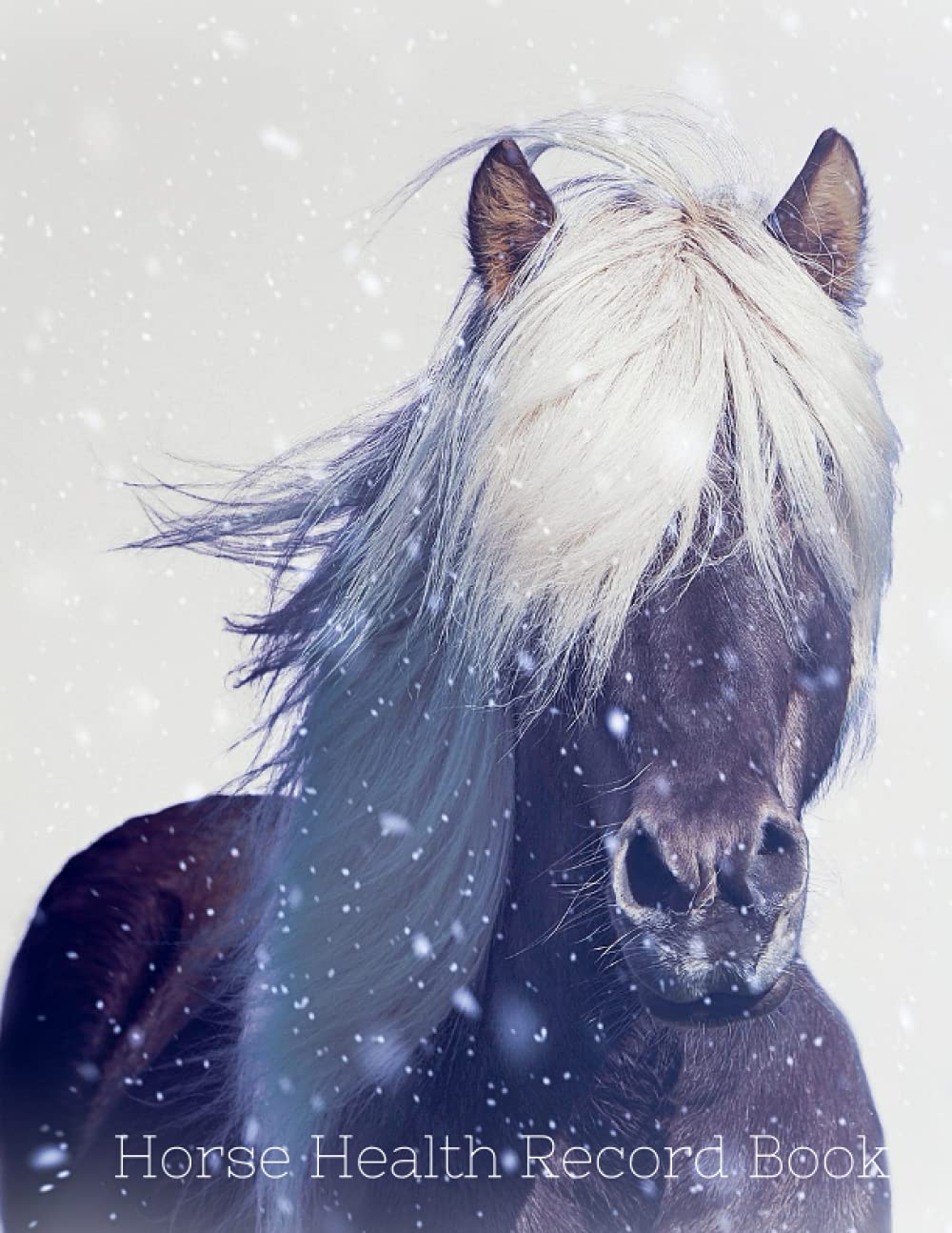 Horse Health Record Book: Log Book Horse, farrier record, worming and dental record, medication & vaccination record, horse care Essentials, 120 pages