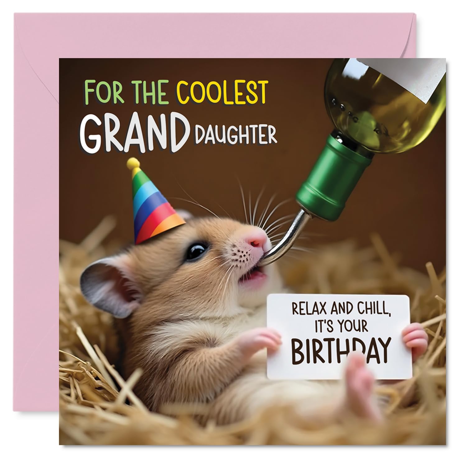 Granddaughter Birthday Card - Ham-somely - Happy Birthday Card for Granddaughter from Grandad Grandma, 145mm Hamster Bday Greeting Cards
