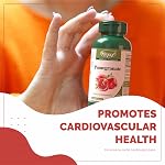 VORST Pomegranate Extract 3 X 120 Gélules véganes (en anglais seulement) Antioxydants Source d'antioxydants & Acide ellagique , Supplément à l'oxyde nitrique , Pilules de poudre 3 Bouteilles