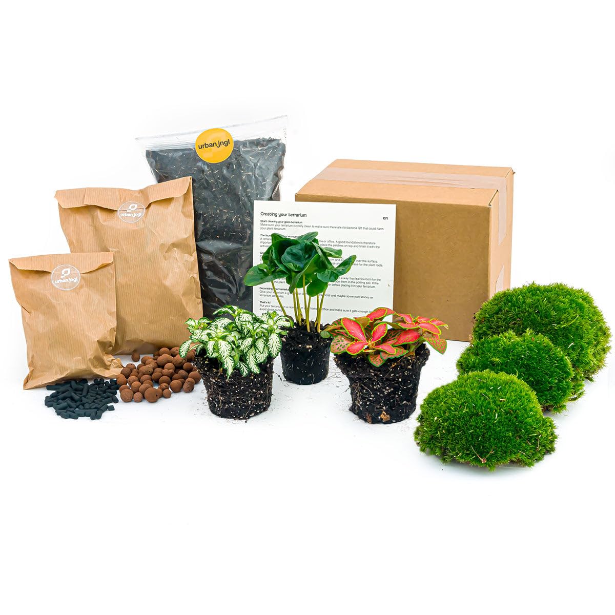 urbanjngl - Coffea Arabica Terrarium Start- und Nachfüllpaket – 3 Terrarienpflanzen für DIY-Projekte – Ideal für Pflanzenliebhaber und Einsteiger