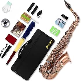 VEDO Saxofone Alto em Mi Bemol (Eb), Banda de Sopro Profissional Acabamento Em Laca Dourada, Para Iniciantes, Saxofone Para Estudantes, Saxofone Alto, Estojo e Completo de AcessóRios, Bronze