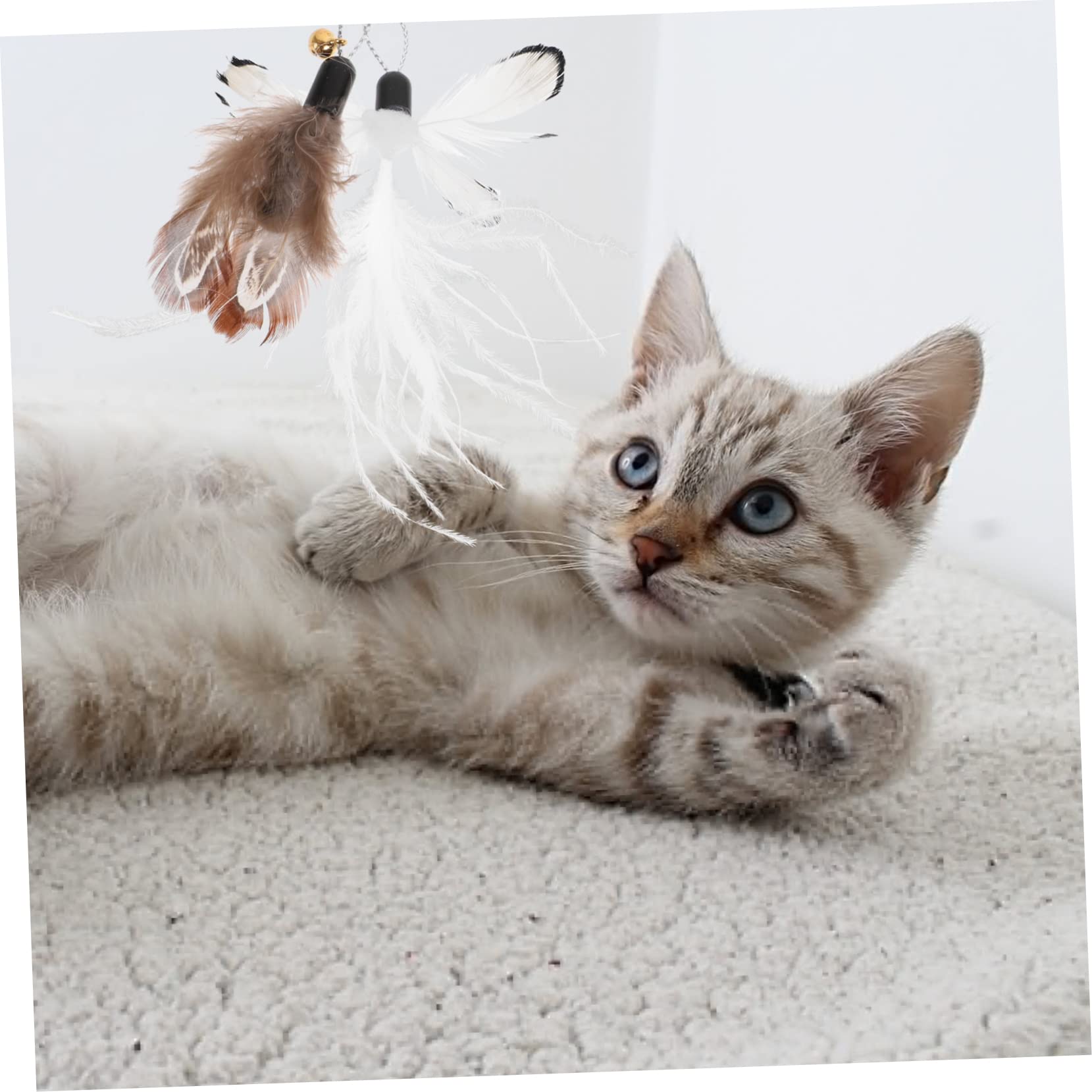 Yardwe 24stücke Katzenangel Nachfüllköpfe Interaktive Katzenspielzeuge Mit Bunten Federn Und Insekten-Design Ergänzung Für Und Aktivität Ihrer Katze