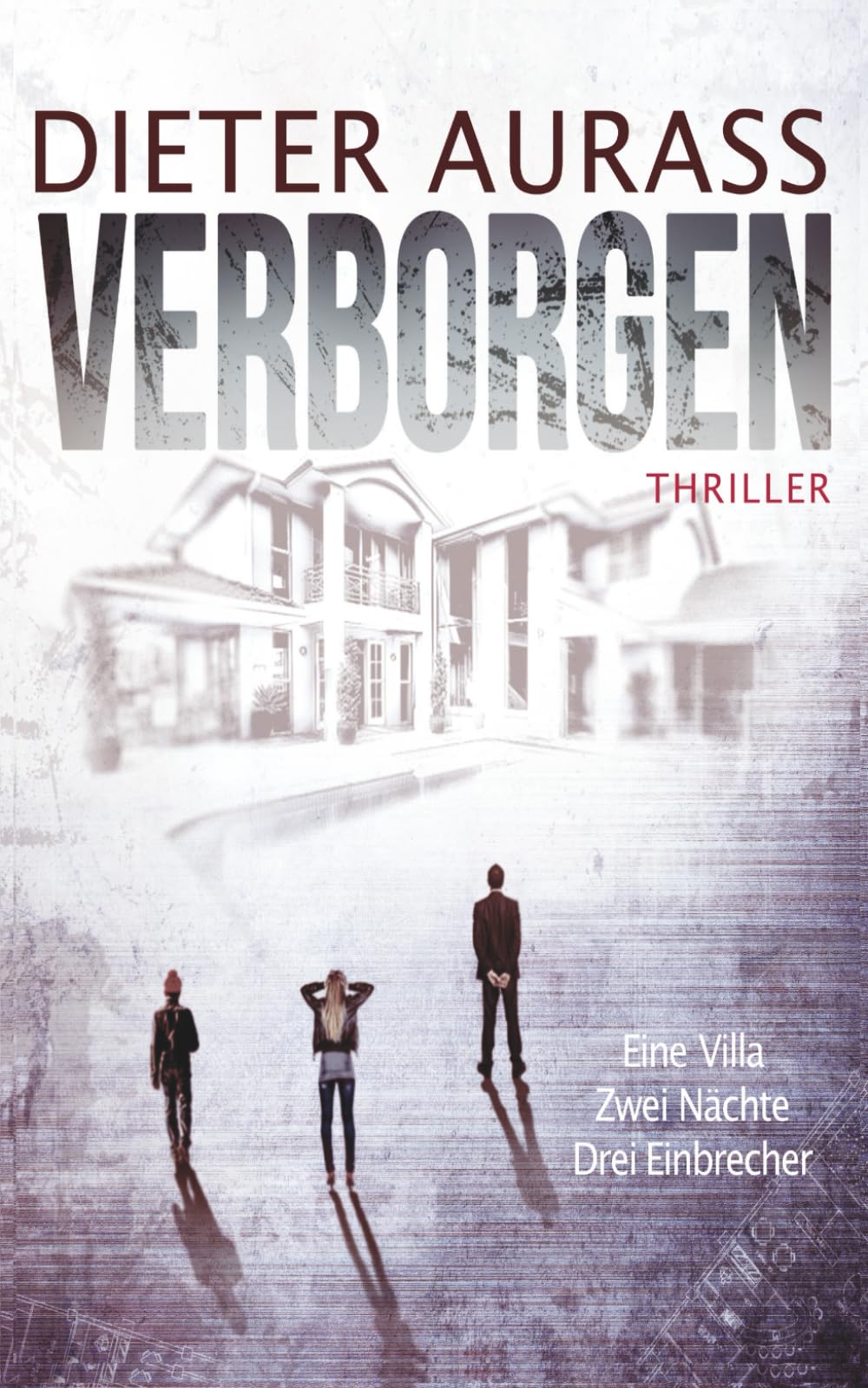 VERBORGEN: Eine Villa – zwei Nächte – drei Einbrecher