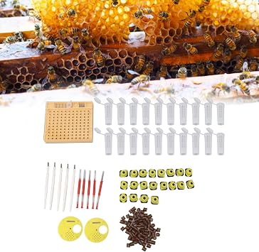 Queen Bee Rearing System Plastic Breeding Cell Cup Kit for Beekeepers