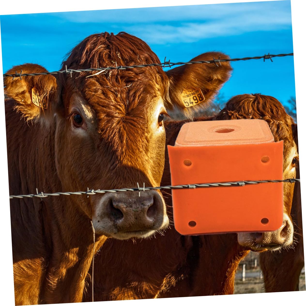 Mipcase Support Plusieurs styles pour Alimentation du Bétail en Extérieur Plusieurs styles en PE Épais 2 Pièces Fond Antidérapant et Structure Robuste pour Bloc Minéral pour Moutons