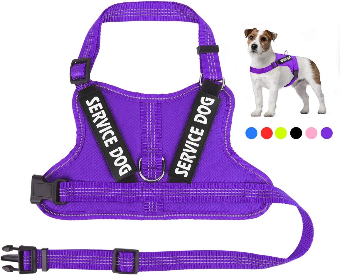 Service Dog Vest Harness, No-Pull Reflective Service Dog Harness with 2 Removable Service Dog Patches - Soft Breathable Mesh Pet Halters Adjustable Outdoor Vest for Puppy Small Medium and Large Dogs